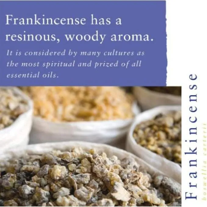 Absolute Aromas Frankincense Essential Oil (10ml)