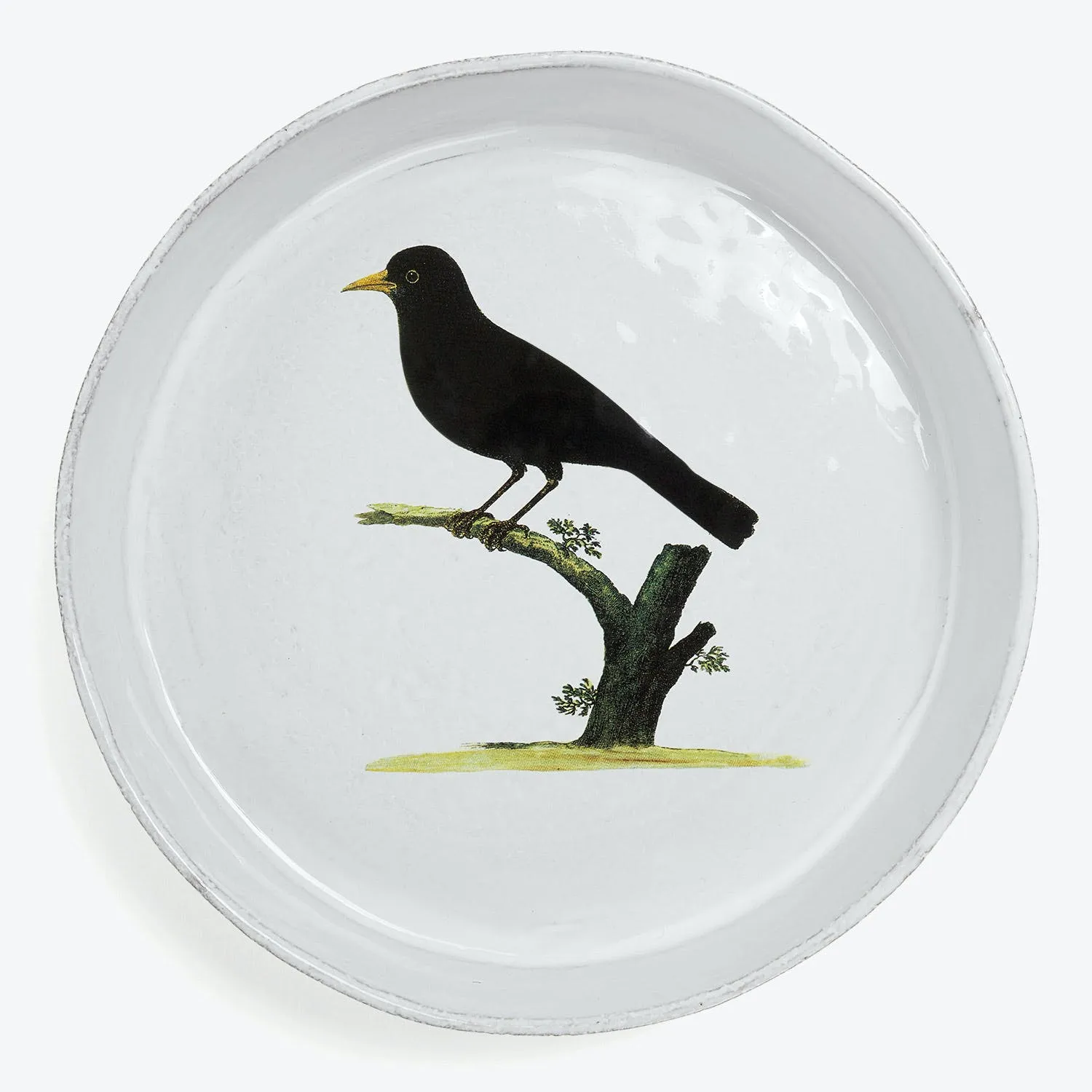 Blackbird Dish