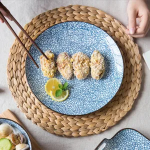 Modern Oriental Ceramic Plate in Cracked Pattern