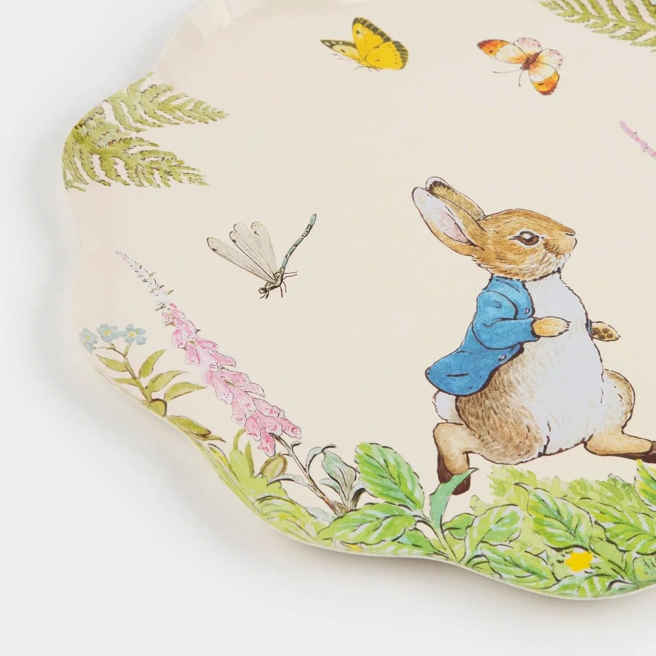 Peter Rabbit™ in the Garden Large Party Plates x 8