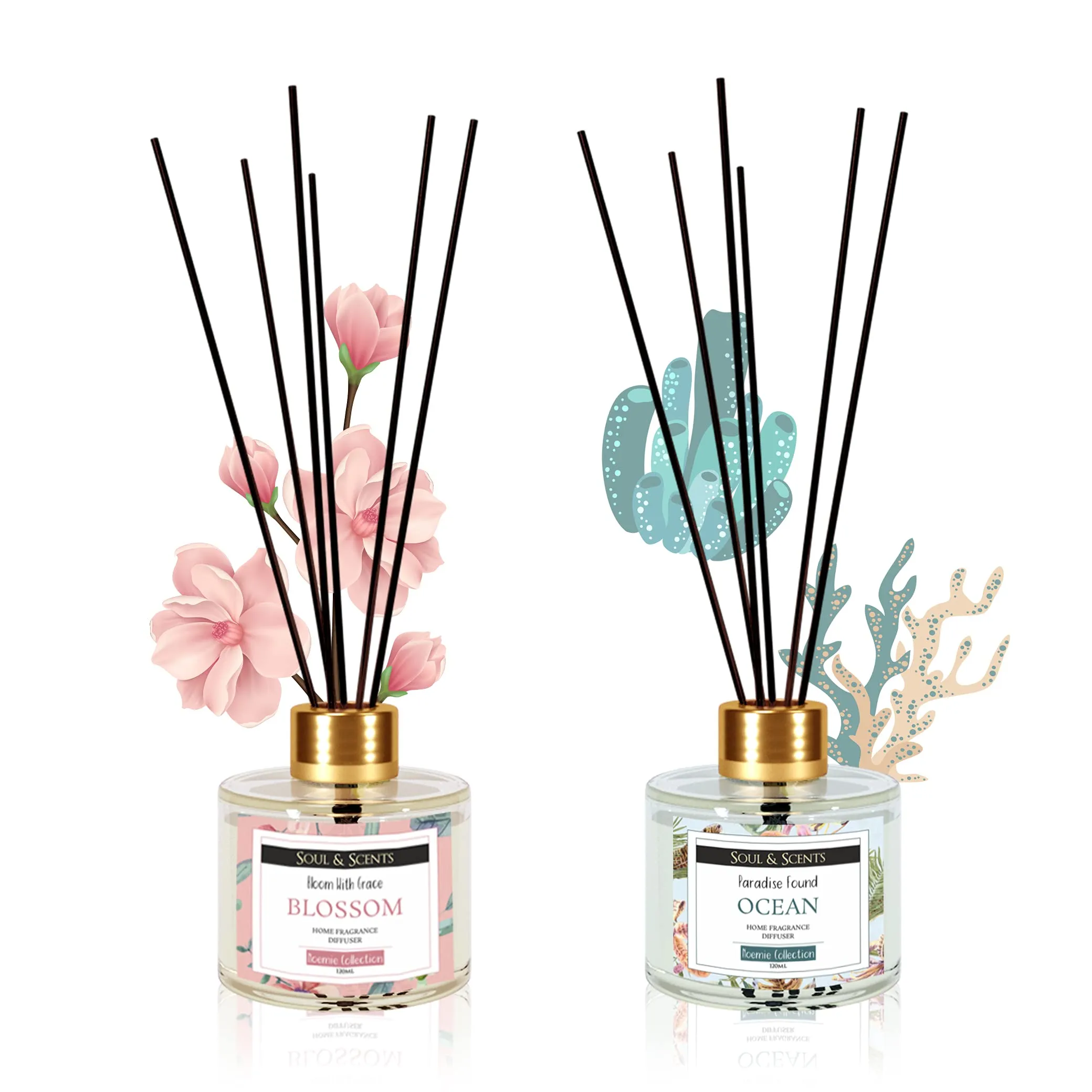 Soul & Scents Ocean and Blossom Reed Diffuser Set-120 ml with 6 Sticks Each | Fine-Living Fragrance for Office, Home, Gym and Yoga | Mood Enhancer | Combo Pack of 2